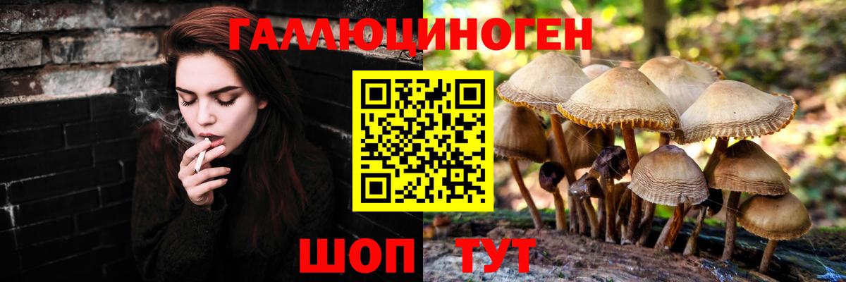 Ульяновск  Галлюциногенные грибы мицелий  Вход с VPN 